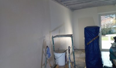 Rénovation d'un plafond à la française à Montbrison